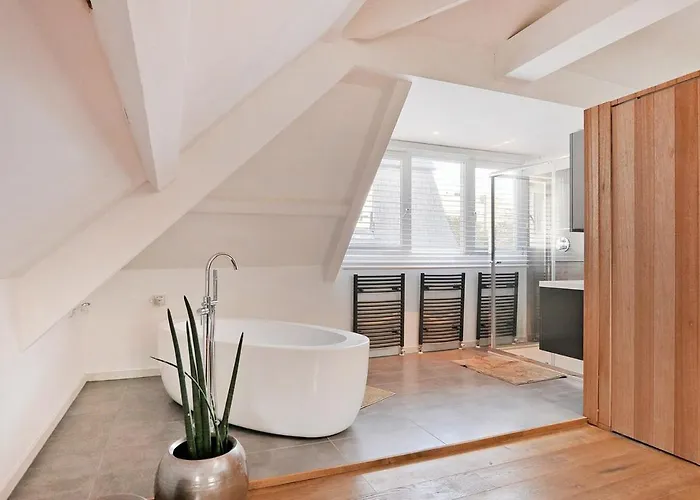 Frans - Free Parking * Den Haag