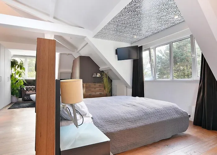 Frans - Free Parking Den Haag